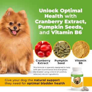 ONLY NATURAL PET Canine Bladder Control - Senior Dog Care Supplement - UTI, Urinary Tract Health, Incontinence Support w/Cranberry Extract | Pills, Vitamins, 90 Chewable Tablets (Natural Turkey)