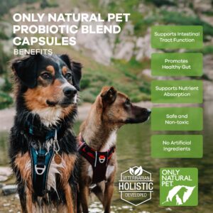 Only Natural Pet Probiotic Dog and Cat Supplement - Digestive & Intestinal Tract Health Enzyme Formula, Puppy & Canine Digestive Support, Best for Stomach Relief & Gas Aid - 90 Capsules.