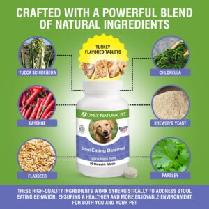 ONLY NATURAL PET Stool Eating Deterrent - Stop Stool Eating Coprophagia - Prevent Poop Eating in Dogs & Puppies | w/Digestive Enzymes | 90 Chewable Tablets for Gut Health - Natural Turkey Flavor