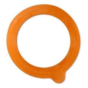 Rayware Pack of 10 100mm Rubber Seal 612104