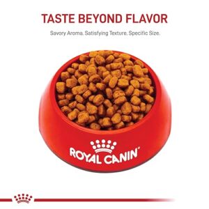 Royal Canin Yorkshire Terrier Adult Dry Dog Food, 2.5 lb bag