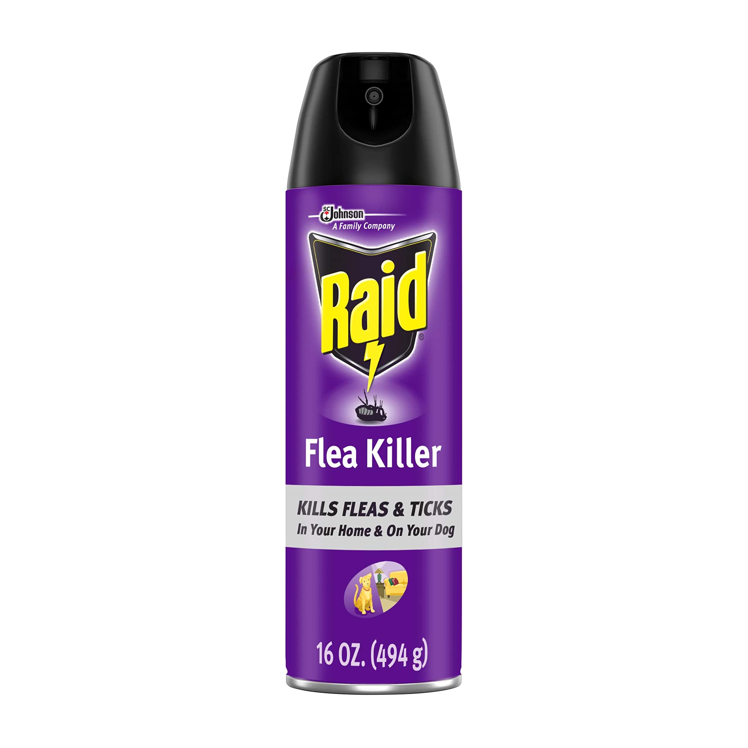 Raid Flea Killer, Kills Fleas, Crickets, Roaches, Silverfish and Ticks, Use in Your Home or on Your Dog (1 Pound (Pack of 6))