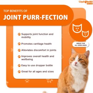 LIQUIDHEALTH 2.3 Oz Liquid Cat Glucosamine Joint Purr-Fection - Hip and Joint Support, Chondroitin Feline Droppers - Senior Older Cats, Kittens