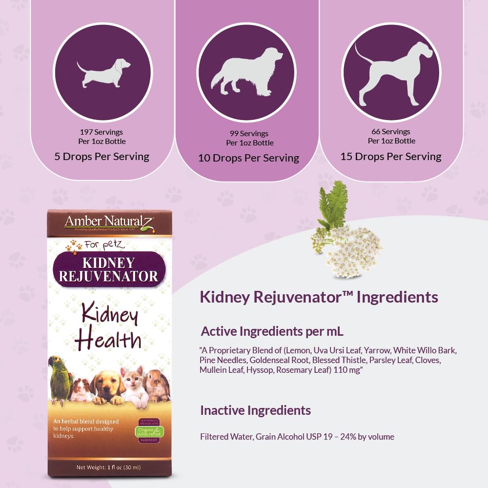 Amber NaturalZ Kidney Rejuvenator Herbal Supplement for Dogs, Cats, Birds, Guinea Pigs, and Rabbits | Pet Herbal Blend for Kidney Support | 1 Fluid Ounce Glass Bottle | Manufactured in The USA