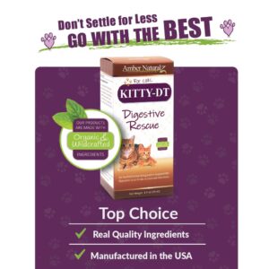 AMBER NATURALZ Kitty-DT Digestive Rescue Herbal Supplement for Cats | Feline Herbal Supplement for Occasional Upset and Digestive Support | 1 Fluid Ounce Glass Bottle | Manufactured in The USA