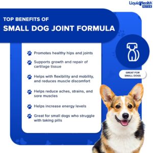 LIQUIDHEALTH 2 Oz Dog Glucosamine Drops Joint Juice, Chondroitin Hip and Joints Relief Vitamin Supplement Formula, Hyaluronic Acid - Small Dogs Canines Puppies