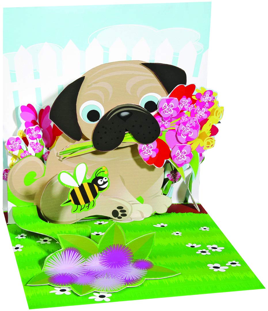 Up With Paper Birthday Greeting Card For Him - Pug Bouquet Pop-Up, Multicolor (865)