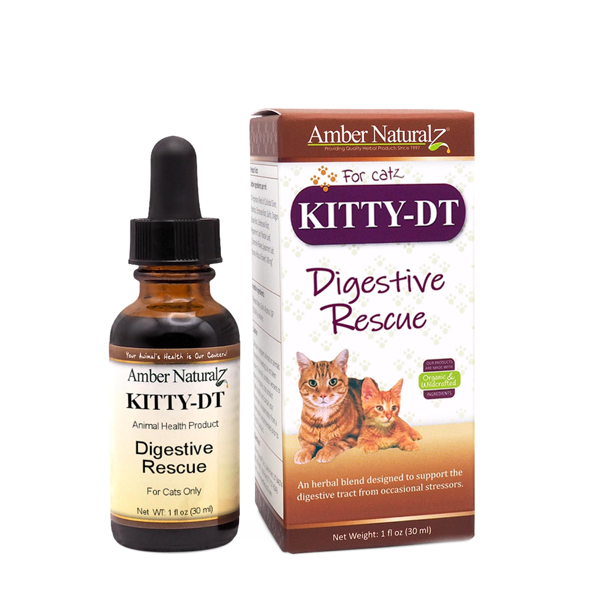 AMBER NATURALZ Kitty-DT Digestive Rescue Herbal Supplement for Cats | Feline Herbal Supplement for Occasional Upset and Digestive Support | 1 Fluid Ounce Glass Bottle | Manufactured in The USA