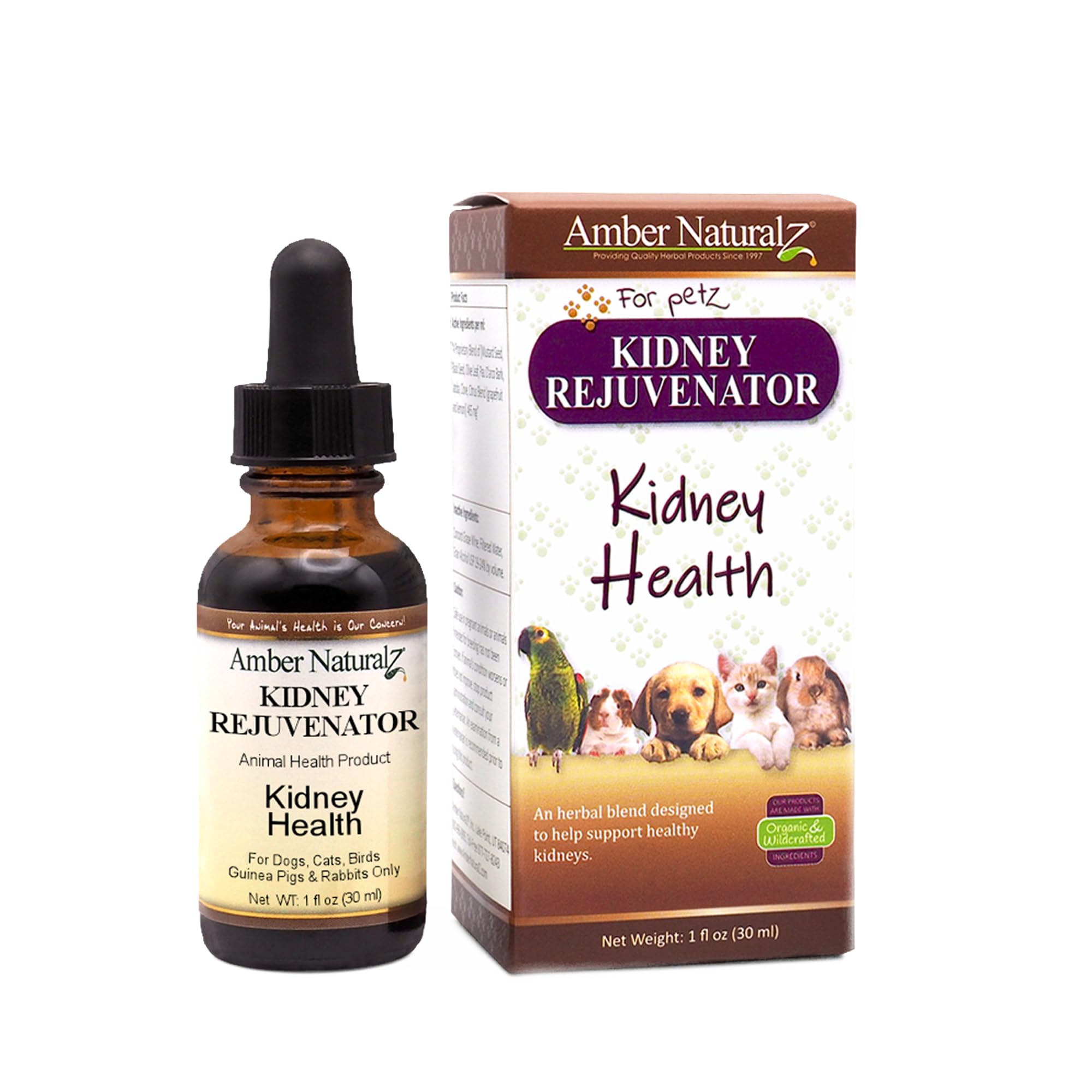 Amber NaturalZ Kidney Rejuvenator Herbal Supplement for Dogs, Cats, Birds, Guinea Pigs, and Rabbits | Pet Herbal Blend for Kidney Support | 1 Fluid Ounce Glass Bottle | Manufactured in The USA