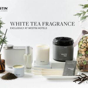 Westin White Tea Candle - Hand-Poured, Soy Candle with Signature White Tea Scent -12.5 oz.