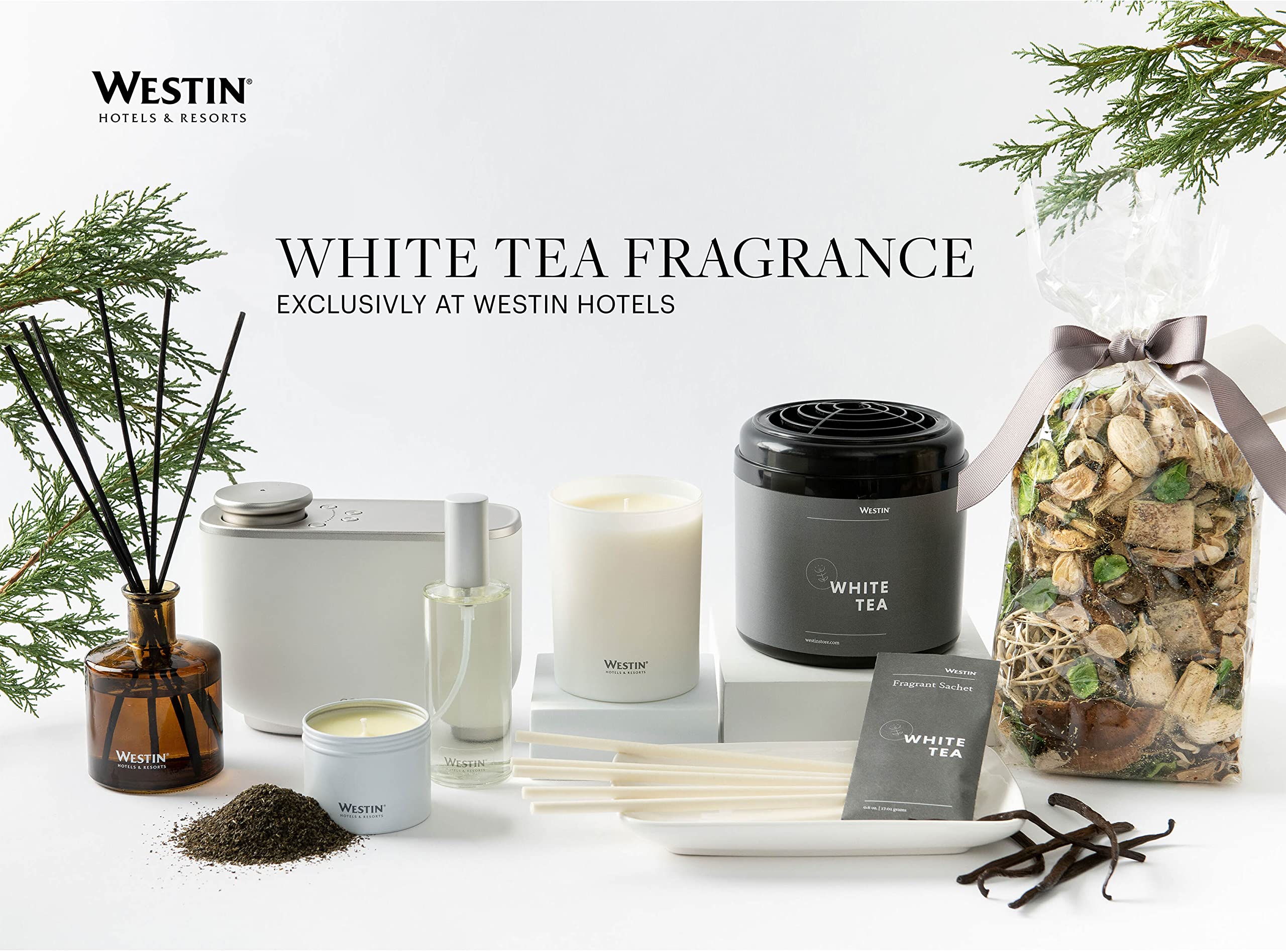 Westin White Tea Candle - Hand-Poured, Soy Candle with Signature White Tea Scent -12.5 oz.