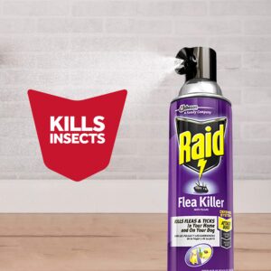 Raid Flea Killer, Kills Fleas, Crickets, Roaches, Silverfish and Ticks, Use in Your Home or on Your Dog (1 Pound (Pack of 6))