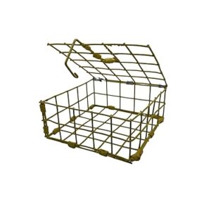 Protoco Bait Box, Medium, 6 X 6 X 3-Inch