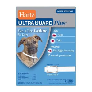 hartz ultraguard flea & tick collar for dogs and puppies - 22" neck, 7 month protection (pack of 4)