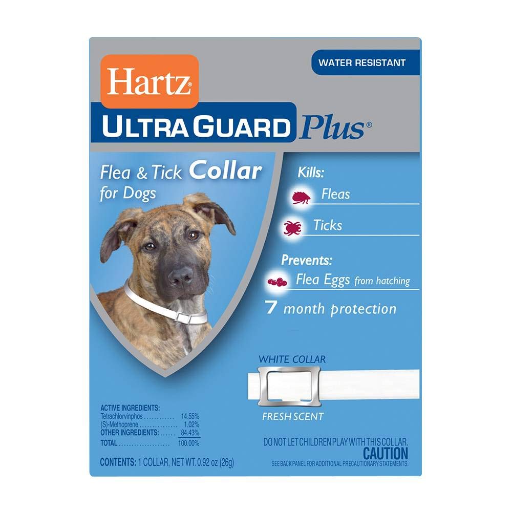 Hartz UltraGuard Flea & Tick Collar for Dogs and Puppies - 22" Neck, 7 Month Protection (pack of 4)