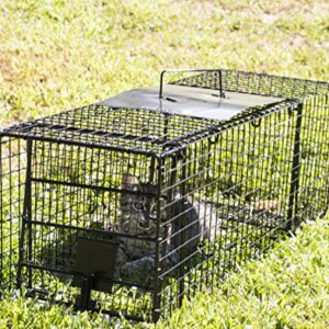 Humane Way 914048 Live Animal Trap, Medium 32"x12"x10"