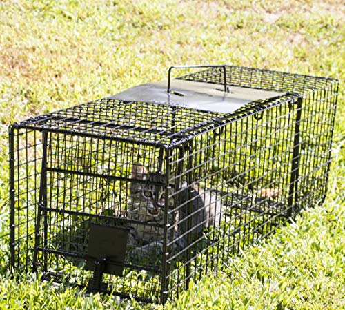 Humane Way 914048 Live Animal Trap, Medium 32"x12"x10"