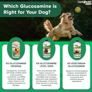 LIQUIDHEALTH 32 Oz K9 Liquid Glucosamine for Dogs, Puppies and Senior Canines - Chondroitin, MSM, Hyaluronic Acid – Joint Health, Dog Vitamins Hip Joint Juice, Dog Joint Oil (2-Pack)