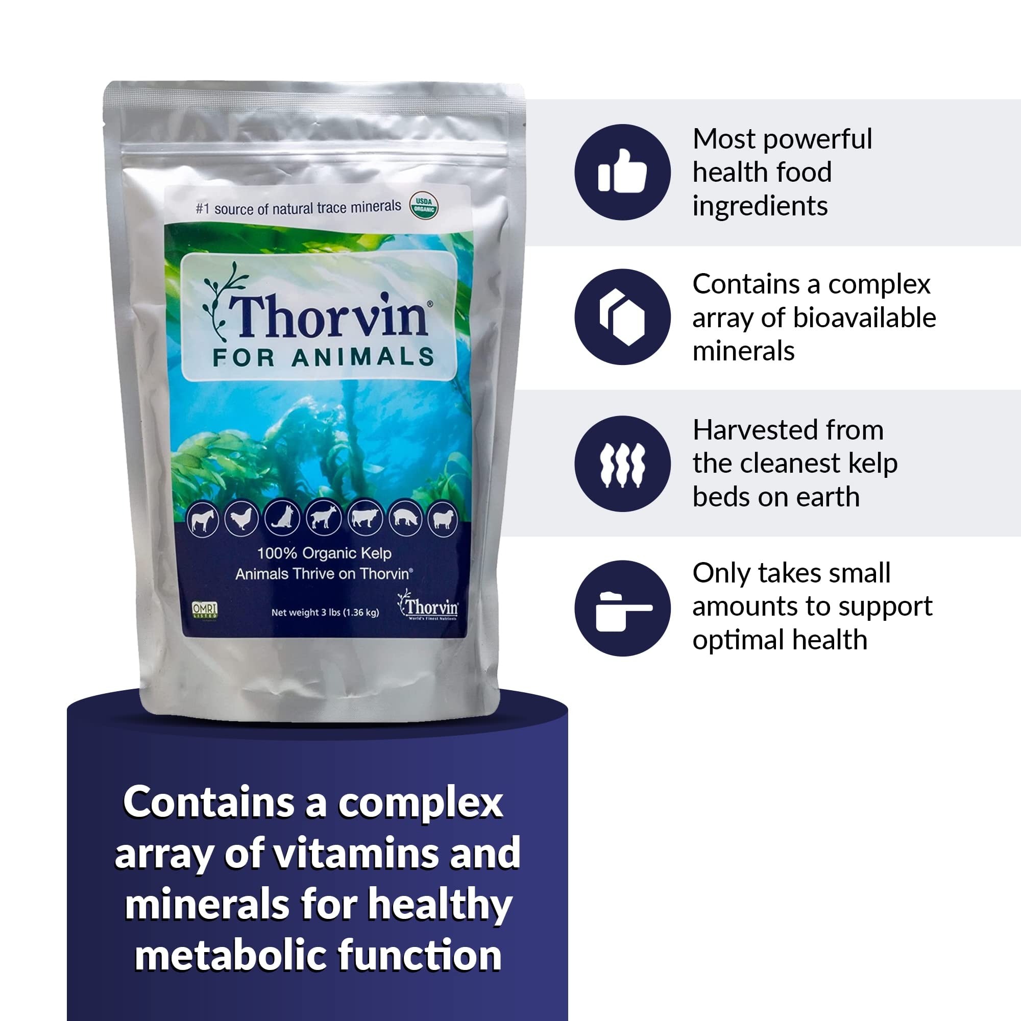 Thorvin Kelp For Animals | Organic Supplement for Skin, Coat, Digestion and Optimal Health | Suitable for Dogs, Cats, Horses, and Livestock | 3lb