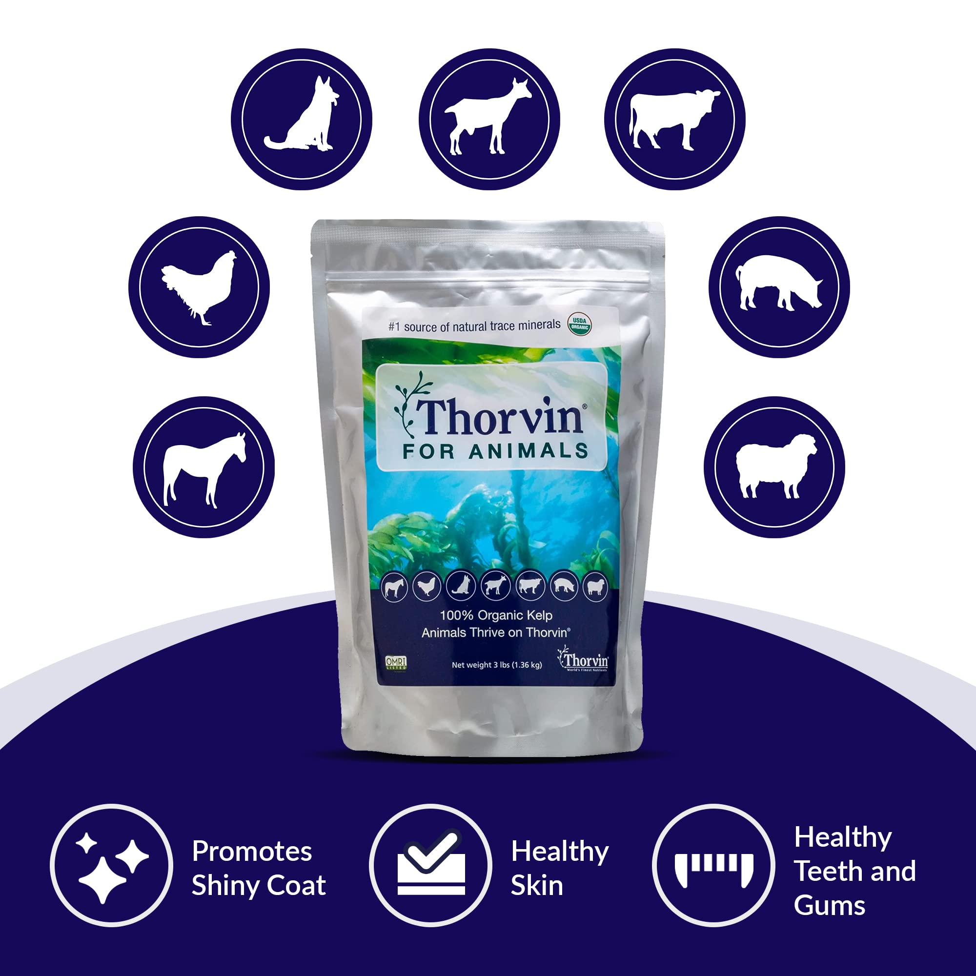 Thorvin Kelp For Animals | Organic Supplement for Skin, Coat, Digestion and Optimal Health | Suitable for Dogs, Cats, Horses, and Livestock | 3lb