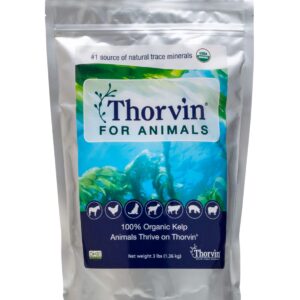 Thorvin Kelp For Animals | Organic Supplement for Skin, Coat, Digestion and Optimal Health | Suitable for Dogs, Cats, Horses, and Livestock | 3lb