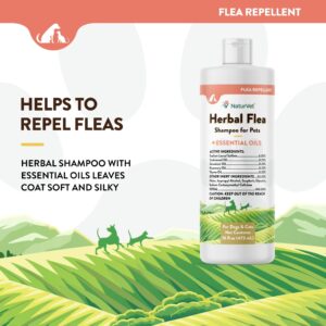 NaturVet Herbal Flea Pet Shampoo with Essential Oils – Helps Against Fleas, Insects – Deodorizing Dog Shampoo – Includes Rosemary, Cedarwood, Geranium, White Thyme Oils – 16 Oz.