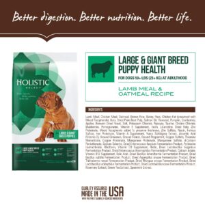 Holistic Select Natural Dry Dog Food, Large & Giant Breed Puppy Recipe, 30-Pound Bag