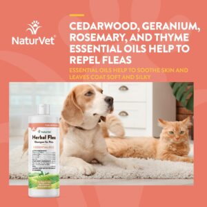 NaturVet Herbal Flea Pet Shampoo with Essential Oils – Helps Against Fleas, Insects – Deodorizing Dog Shampoo – Includes Rosemary, Cedarwood, Geranium, White Thyme Oils – 16 Oz.