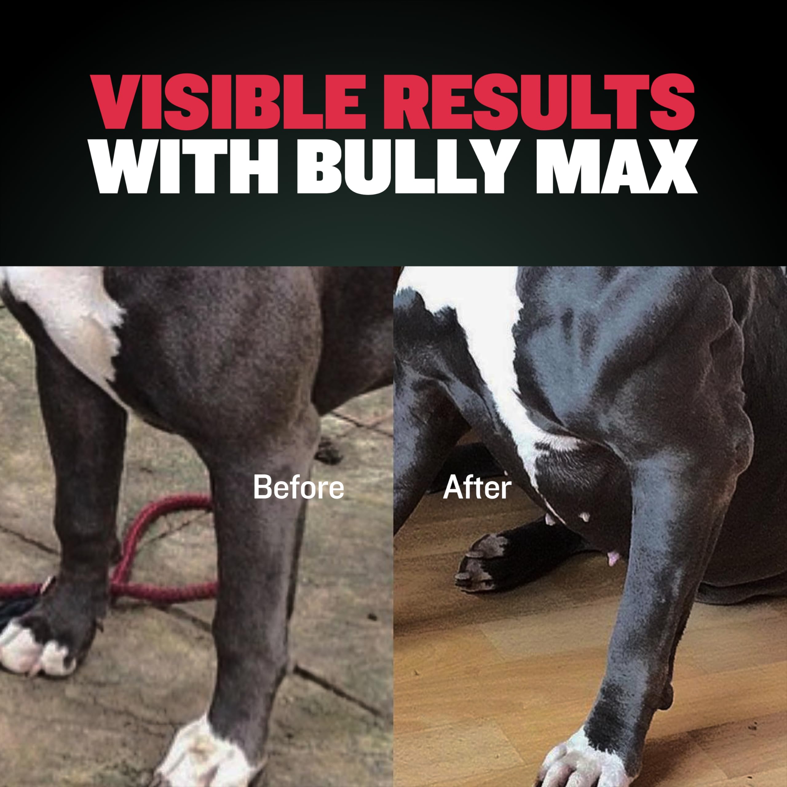 Bully Max 2-in-1 Muscle Builder Chewable Tablets for Puppies & Adult Dogs - Ultimate Canine Dog Supplement for Muscle Gain - 60 Tabs