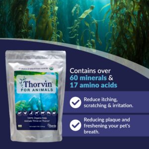 Thorvin Kelp For Animals | Organic Supplement for Skin, Coat, Digestion and Optimal Health | Suitable for Dogs, Cats, Horses, and Livestock | 3lb