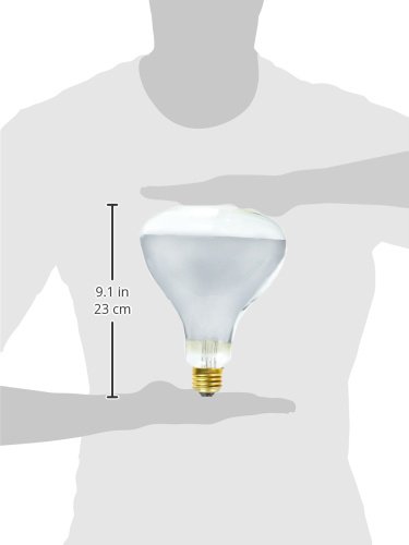 Westinghouse 0348400, 250 Watt, 120 Volt Clear Infrared Heat Incandescent R40 Light Bulb - 5000 Hours