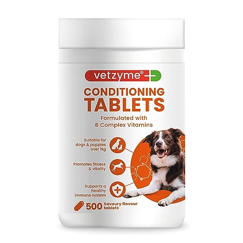 Vetzyme Conditioning Tablets, 500 Tablets