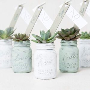 WEDDINGSTAR Mini Love Mason Jar with Lid - 6 Pack