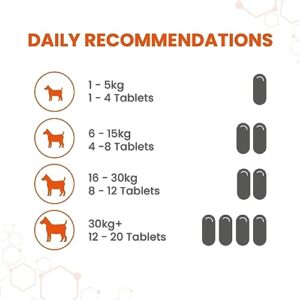 Vetzyme Conditioning Tablets, 500 Tablets