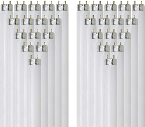 Sunlite 30125 2 Foot T8 Linear Fluorescent Lamp, 17 Watts, 1450 Lumens, F17T8/SP841, 4100K Cool White, Medium G13 Bi-Pin Base, ROHS Compliant, 30 Pack