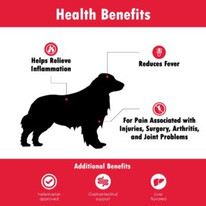 HealthyPets ARTHRIN325T Arthrin Canine Aspirin 300 mg for Larger Dogs - Prevent Gastrointestinal Upset - Joint Support Supplement - Liver Flavored - 100 Chewable Tablets