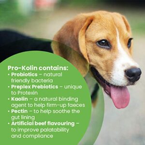 Protexin Pro-Kolin Plus Syringe 30 ml