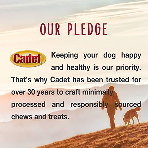 Cadet Premium Grade Beef Hide for Dogs, Long Lasting Rawhide Twist Chew Sticks, Natural Dog Chews, 5 Inch Dog Bones (34 Count)