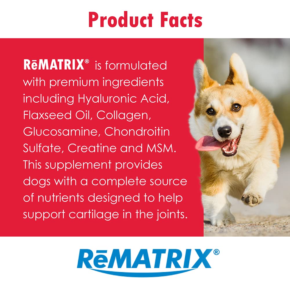 Pet Health Solutions PHS ReMATRIX Joint Support Supplement for Dogs - Glucosamine, Chondroitin, MSM, Omega-3 - Hip and Joint Pain Relief and Support for Dogs - Made in USA - 240 Soft Chews