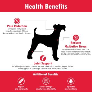 Pet Health Solutions PHS ReMATRIX Joint Support Supplement for Dogs - Glucosamine, Chondroitin, MSM, Omega-3 - Hip and Joint Pain Relief and Support for Dogs - Made in USA - 240 Soft Chews