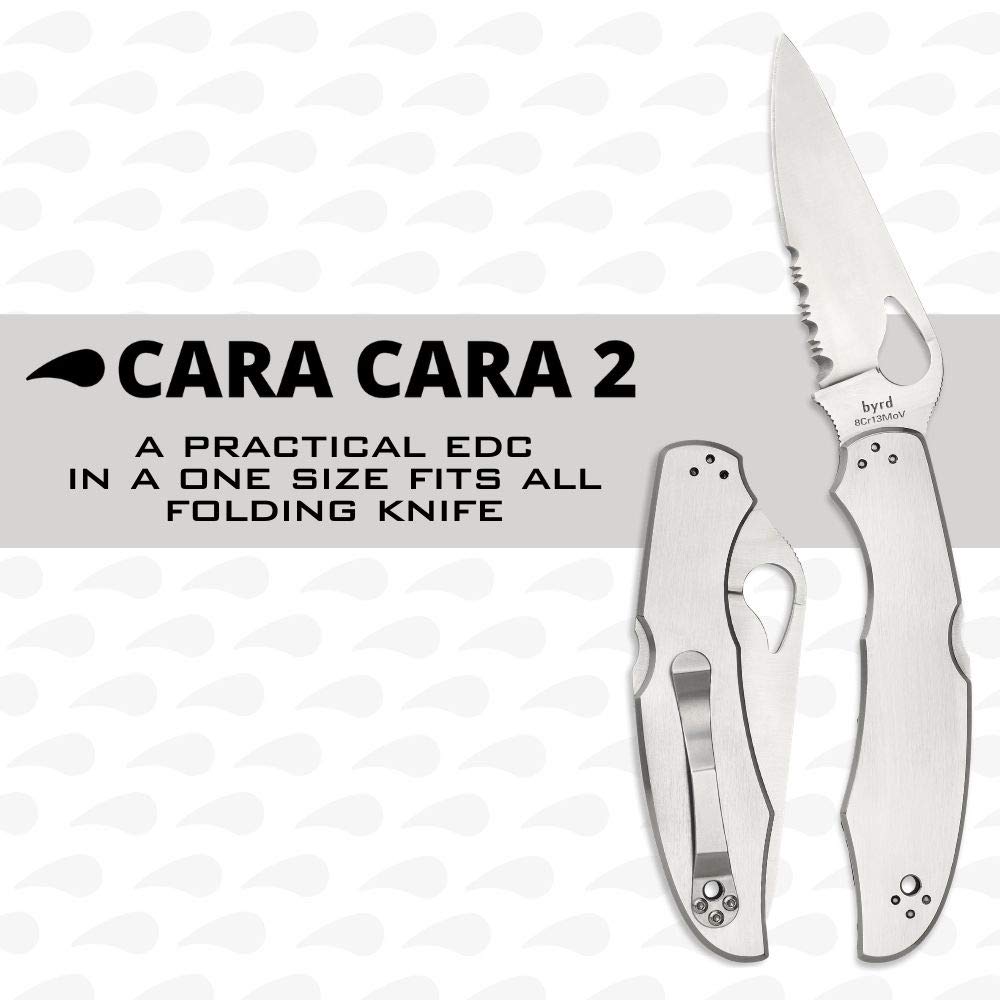 Spyderco Byrd Cara Cara 2 Knife with 3.75" Steel Blade and Durable Stainless Steel Handle - CombinationEdge - BY03PS2