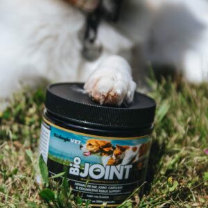 BiologicVET - BioJOINT Advanced Joint Mobility Support, Advanced Hip, Joint, Cartilage & Connective Tissue Support, 40-Day Supply for 20-lb. Animal, 7-oz. Powder