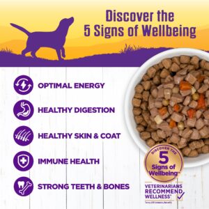 Wellness Complete Health Thick & Chunky Natural Grain Free Canned Wet Dog Food, Beef Stew, 12.5-Ounce Can (Pack of 12)