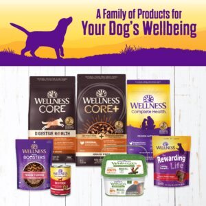 Wellness Complete Health Thick & Chunky Natural Grain Free Canned Wet Dog Food, Beef Stew, 12.5-Ounce Can (Pack of 12)