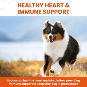 Vetzyme Garlic Health Supplement Tablets for Dogs, Healthy Heart, Vitality for Dogs, 240 Tablets