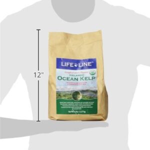 Organic Ocean KELP 5 LB