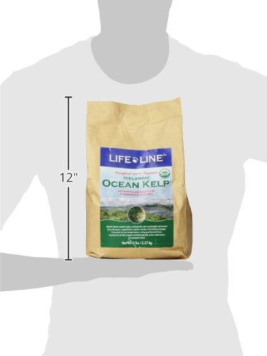 Organic Ocean KELP 5 LB