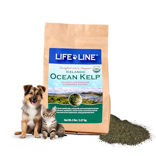 Organic Ocean KELP 5 LB