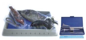 apologia biology dissection complete kit