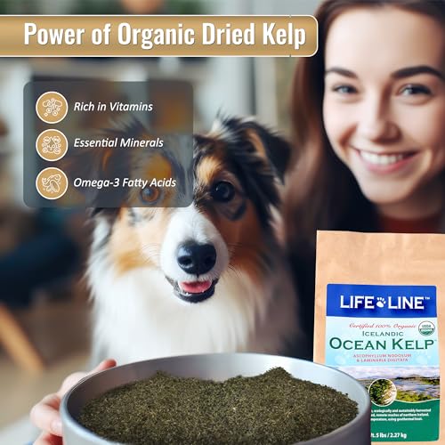 Organic Ocean KELP 5 LB